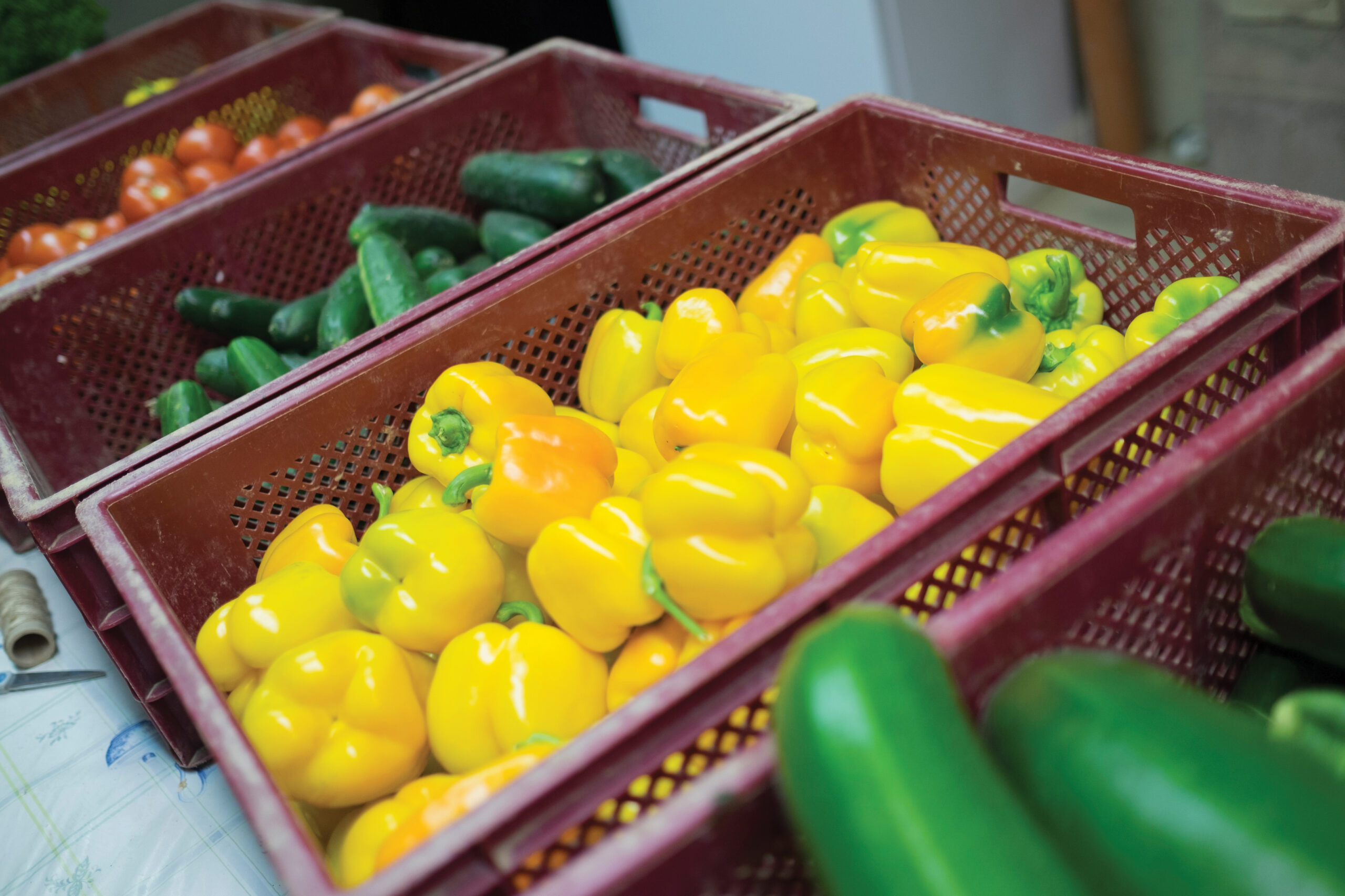 Marchés de producteurs et produits locaux : cet été, savourez Le Beau Jardin en circuit court