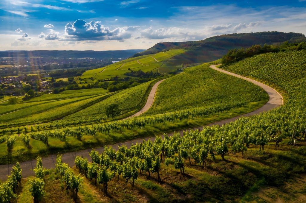 Semaines du Tourisme Économique et des Savoir-Faire : poussez les portes des entreprises du Kochersberg et du Pays de la Zorn